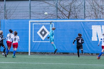 Bild 82 - wBJ HSV - F VfL Jesteburg : Ergebnis: 6:1